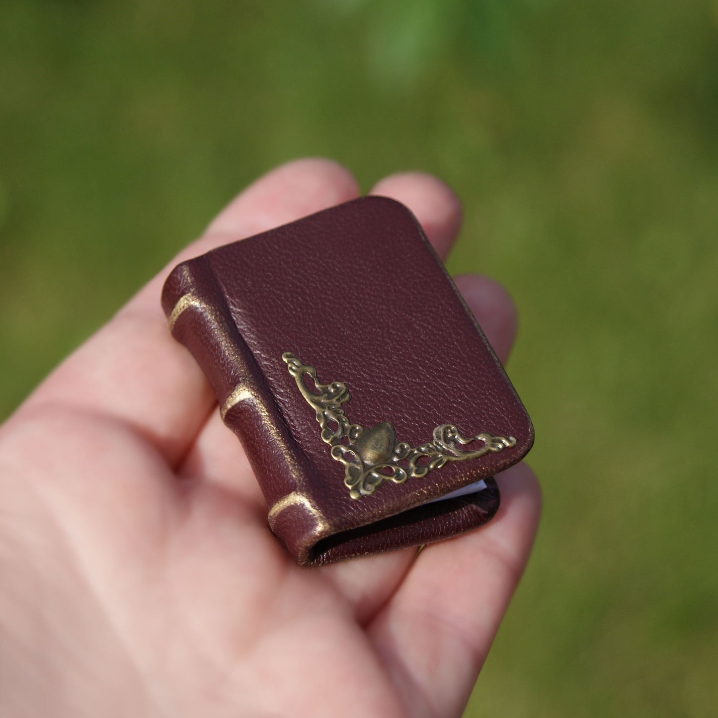 Hand holding a small leather book with gold accents against a blurred green background